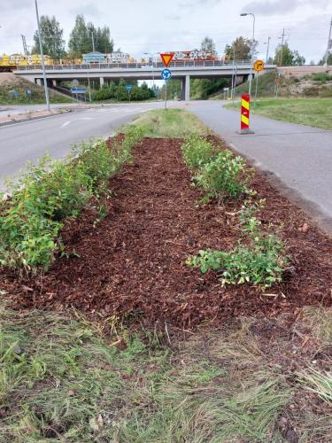Pensasalue korjauksen jälkeen